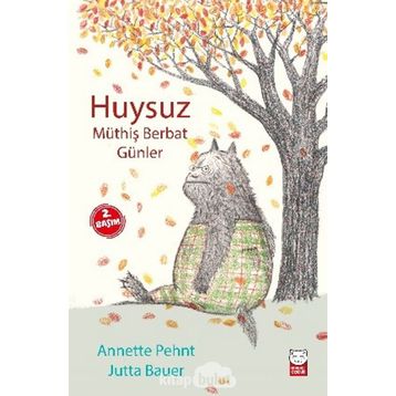 Huysuz - Müthiş Berbat Günler - Annette Pehnt