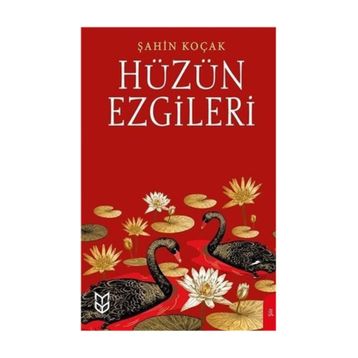 Hüzün Ezgileri - Şahin Koçak