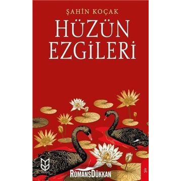 Hüzün Ezgileri - Şahin Koçak