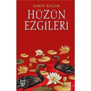 Hüzün Ezgileri - Şahin Koçak