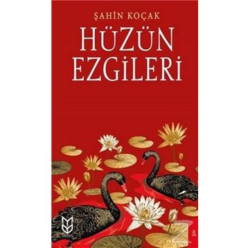 Hüzün Ezgileri - Şahin Koçak