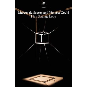 I Am a Strange Loop Kitap