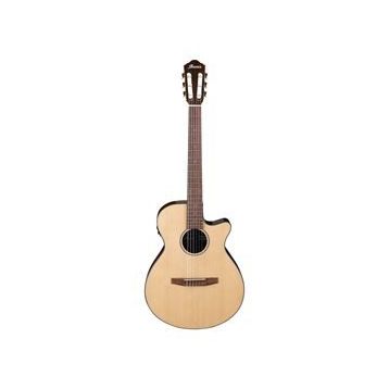 IBANEZ AEG50N-NT 4/4 Elektro Klasik Gitar