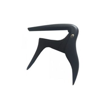 Ibanez ICC10 Klasik Gitar Kaposu