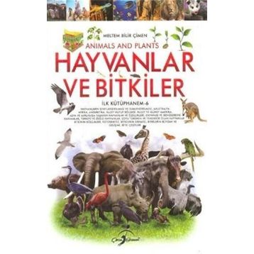 İCATLAR - MELTEM BILIR ÇIMEN