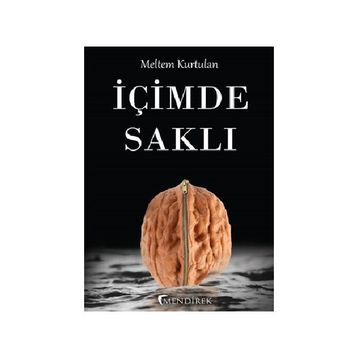 İçimde Saklı - Meltem Kurtulan