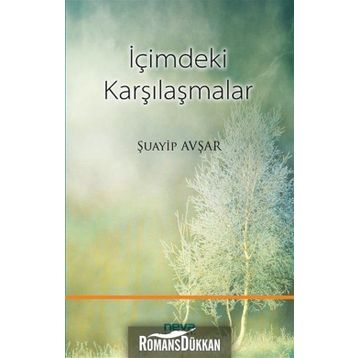 İçimdeki Karşılaşmalar - Şuayip Avşar