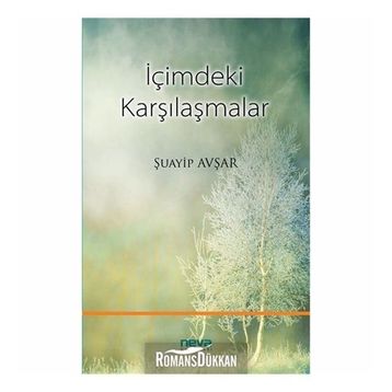 İçimdeki Karşılaşmalar - Şuayip Avşar