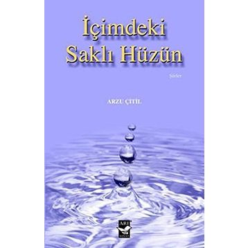 İçimdeki Saklı Hüzün - Arzu Çitil