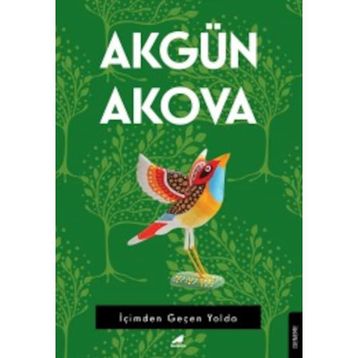İçimden Geçen Yolda - Akgün Akova