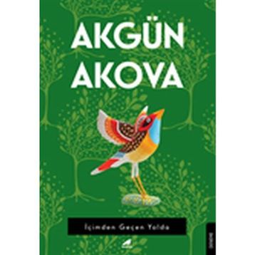 İçimden Geçen Yolda - Akgün Akova