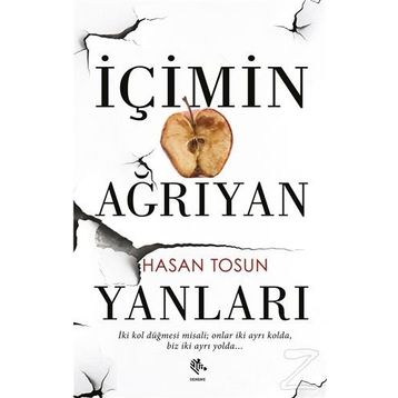 İçimin Ağrıyan Yanları - Hasan Tosun