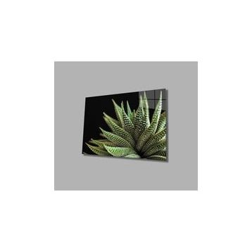 İdeal Glass Art Alovera Cam Tablo
