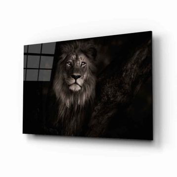 İdeal Glass Art Aslan Hayvan Cam Tablo