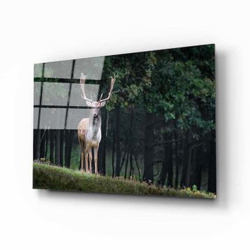 İdeal Glass Art Geyik Cam Tablo