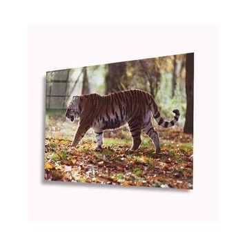 İdeal Glass Art Kaplan 4 mm Dayanıklı Temperli Cam Tablo