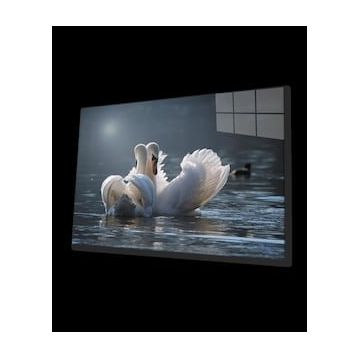 İdeal Glass Art Ördek Cam Tablo