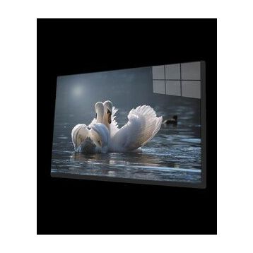 İdeal Glass Art Ördek Cam Tablo