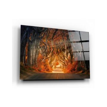 İdeal Glass Art Orman Cam Tablo