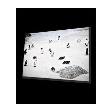İdeal Glass Art Penguen Cam Tablo