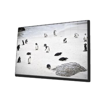 İdeal Glass Art Penguen Cam Tablo