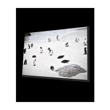 İdeal Glass Art Penguen Cam Tablo