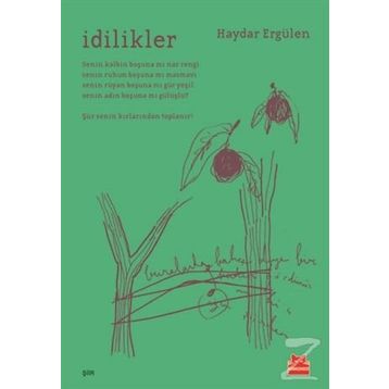 İdilikler - Haydar Ergülen