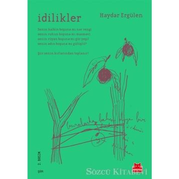 İdilikler - Haydar Ergülen