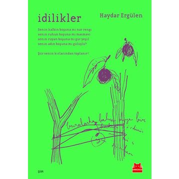 İdilikler - Haydar Ergülen