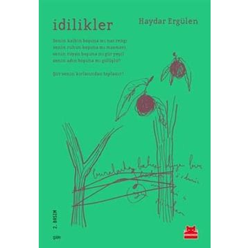 İdilikler - Haydar Ergülen