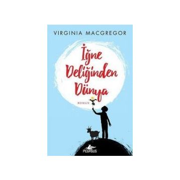 İğne Deliğinden Dünya - Virginia Macgregor
