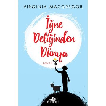 İğne Deliğinden Dünya - Virginia Macgregor