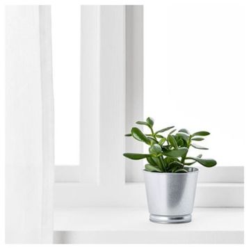 IKEA Bıntje Galvanizli 9 cm Saksı