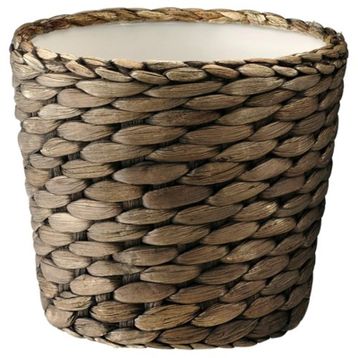 IKEA Druvflader Su Sümbülü 12 cm Saksı