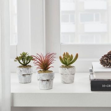 IKEA Fejka 6 cm 3 adet Saksılı Yapay Bitki