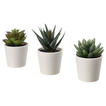 IKEA FEJKA Yapay Bitki Kaktüs 6 cm