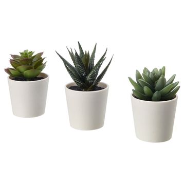 IKEA FEJKA Yapay Bitki Kaktüs 6 cm
