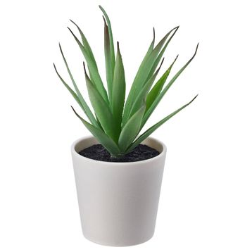IKEA FEJKA Yapay Bitki Kaktüs 6 cm