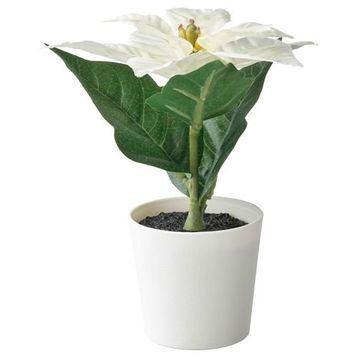 IKEA FEJKA Yapay Bitki Kaktüs 6 cm