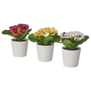 IKEA FEJKA Yapay Bitki Kaktüs 6 cm