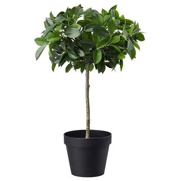 IKEA FEJKA Yapay Bitki Ortanca Yeşil 12 cm