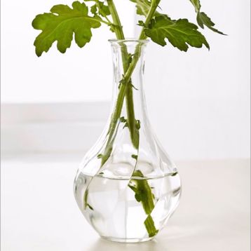 IKEA VILJESTARK Vazo Cam 17 cm