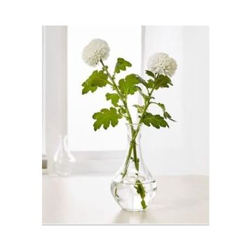 IKEA VILJESTARK Vazo Cam 17 cm