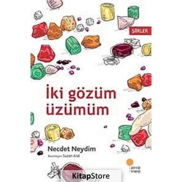 İKİ GÖZÜM ÜZÜMÜM - NECDET NEYDIM