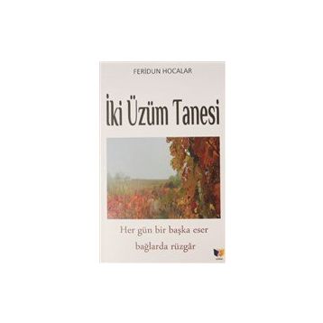 İki Üzüm Tanesi - Feridun Hocalar