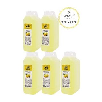 Ilgaz 5x1 lt Limon Kolonyası