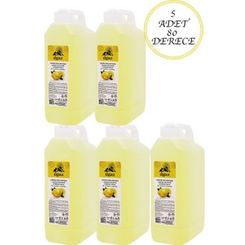 Ilgaz 5x1 lt Limon Kolonyası