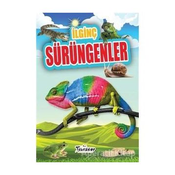 İlginç Sürüngenler - M. Cüneyt Özcan