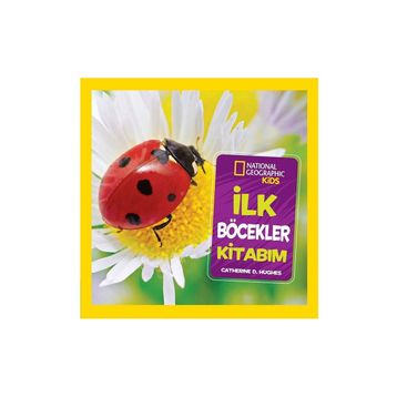 İlk Böcekler Kitabım - Catherine D. Hugheis