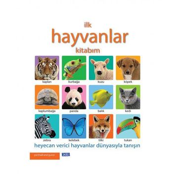 İLK KITABIM - HAYVANLAR - KOLEKTIF
